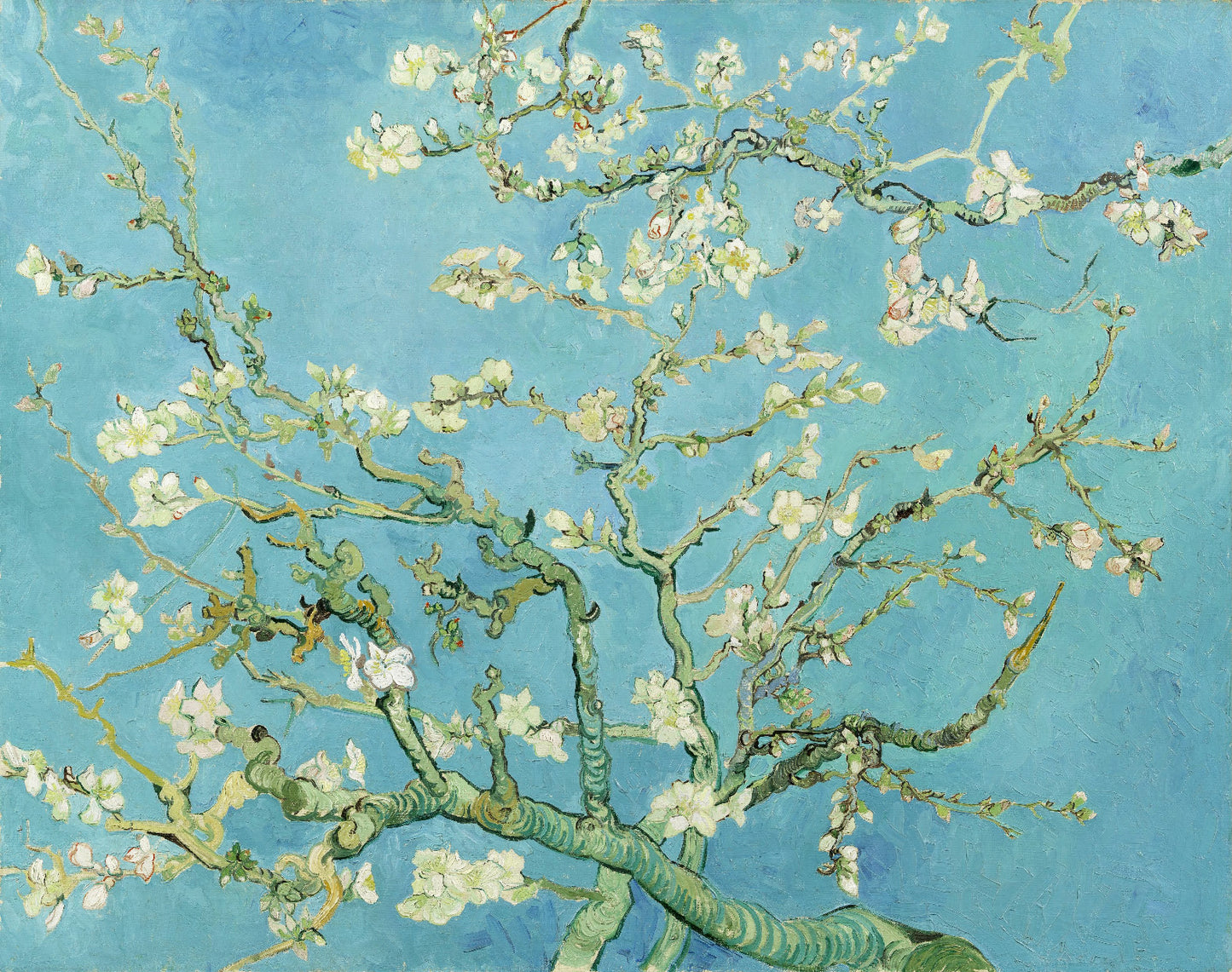 Khaki Almond Blossoms by Vincent Van Gogh T-Shirt