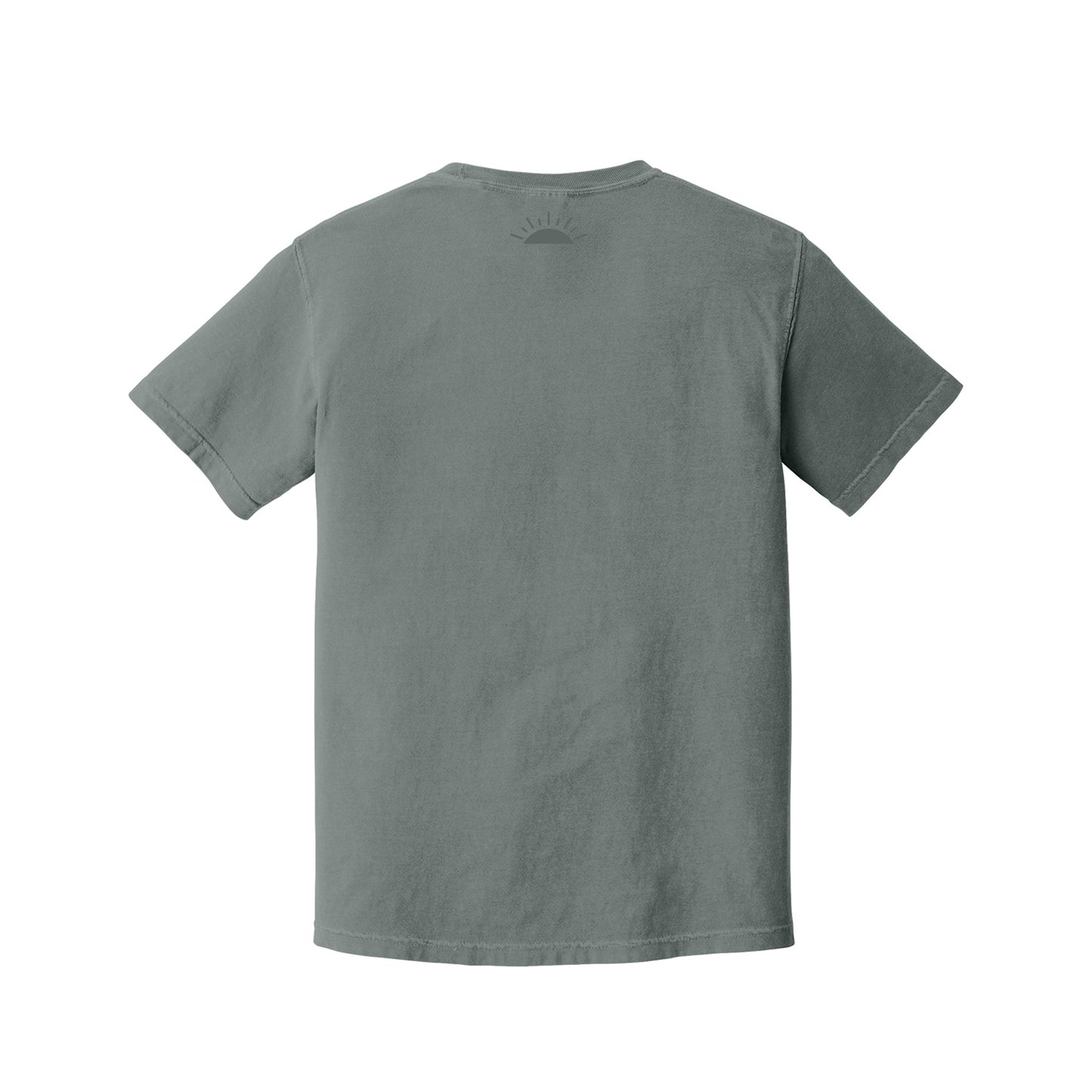 Grey Seated Dancer by Edgar Degas T-Shirt