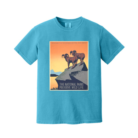 Sapphire National Parks T-Shirt