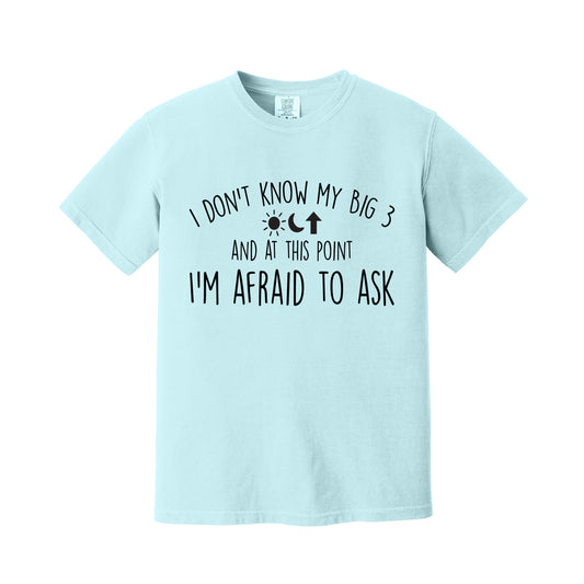 Chambray Big Three T-Shirt